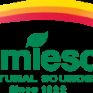 JAMIESON