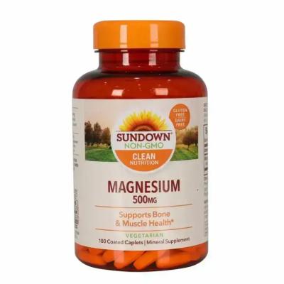 SUNDOWN MAGNESIUM 500MG 180TAB